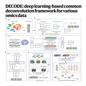 749-DECODE: A Universal Multiomics Deconvolution Framework