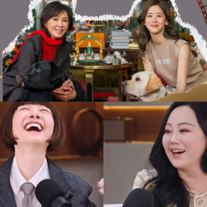 Vol.36 章泽天、陈鲁豫、章小蕙:被讨论的女人,和讨论她们的人