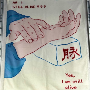03|如果我死了,App会比家人朋友先知道?从「死了么」到1.5亿独居者时代的数字安全感