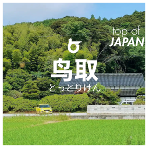 52｜漫画王国：在日本人口最少的县，找到二次元入口