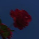 你们为什么不跳个舞