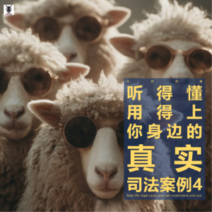 三好拍案 - 听得懂用得上你身边的真实司法案例4