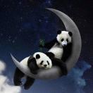 红豆咿呀喂