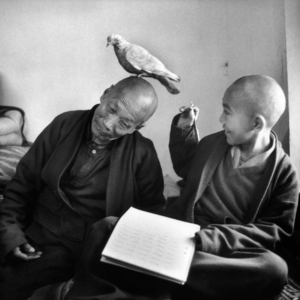 聊聊 “这一年什么都没在忙” 的背后