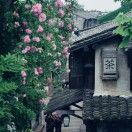 中年重启的旅人