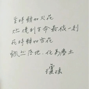 【当雪花飘落】琼瑶笔下的恶人组:灿烂又孤独的她们,是封建父权社会的照妖镜