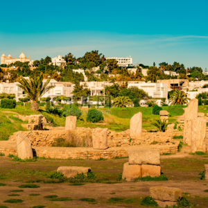 拾话胡说之古罗马故事Vol.4：人生选择题：黄金骨灰盒、早饭、毒酒与新娘——迦太基与罗马之战（完结篇）