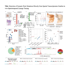 569-SpaceTracer: High-Resolution Spatial Lineage Tracing