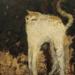 困滴猫