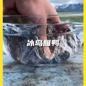 冰岛燕鸭毛保护与生产体系