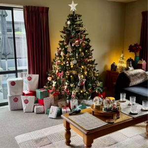 13🇳🇿🎄圣诞特辑:当中国女儿遇到新西兰爸妈,英文课本里的homestay真的还存在吗?