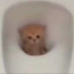 梆梆两下
