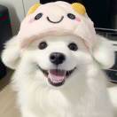 芝士小年高_XFjG