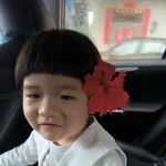 Carol颖