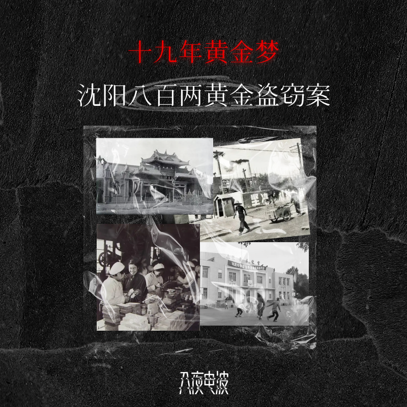 034.十九年黄金梦，沈阳八百两黄金盗窃案 episode artwork