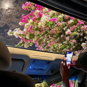 VOL364.幸福的关键不在于你们有多合得来，而在于你们如何处理彼此的合不来。