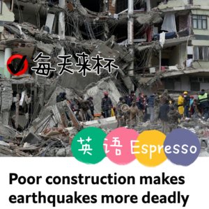 【6】豆腐渣建筑让土叙强震更加致命