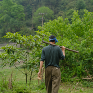「第92件小众乐器」低头种地,抬头唱歌|瓦依那乐队主唱岜農与葫芦琴