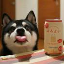 苏赟