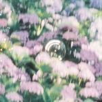 uuiee-