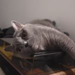 等一个有生之年