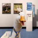 小雷爱吃北极虾