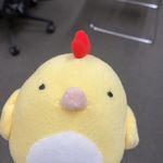 达尔哞