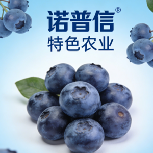 企业研究|诺普信:农业植保与特色农业龙头梳理