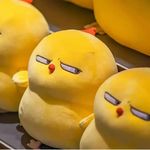 瓜不瓜瓜