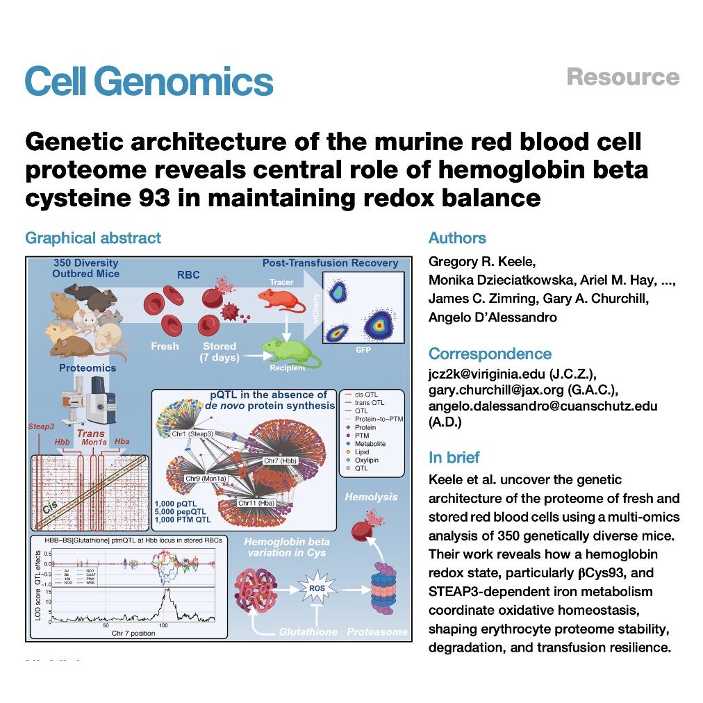 1075-Genetic Architecture of Murine Red Blood Cell Proteome episode artwork