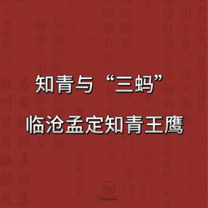 云南知青口述历史：知青与“三蚂”