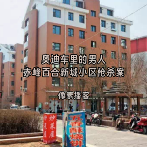 61.奥迪车里的男人：赤峰百合新城小区枪杀案