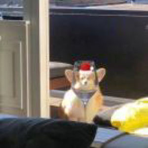 钟之羿的个人播客