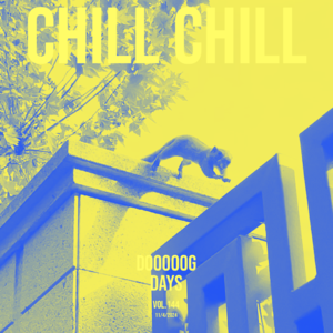 vol.144：面带轻松，度过今天