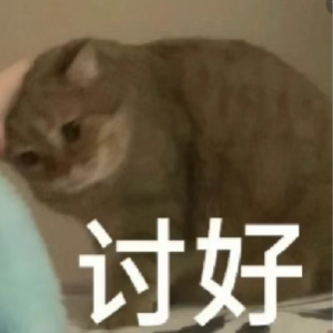 s22.我很害怕别人不喜欢我