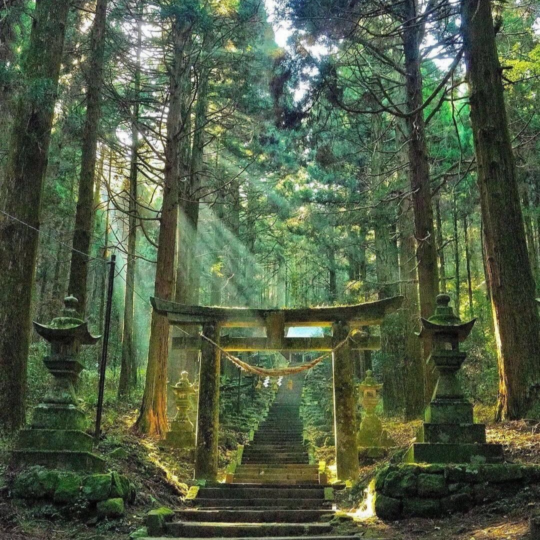 EP48. 熊野古道之旅：我们终将走向真正的自己 episode artwork
