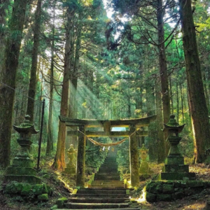 EP48. 熊野古道之旅：我们终将走向真正的自己