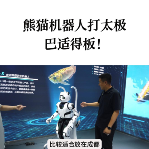 第594集 熊猫机器人打太极，巴适得板！