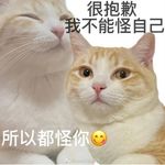 猫猫薄荷