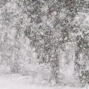 多地下雪，为什么“鹅毛大雪”不常见？