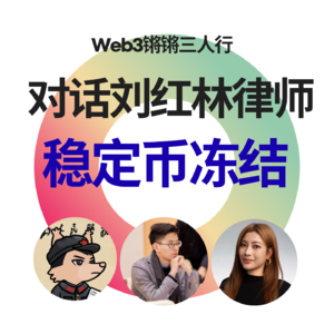 EP - 4 对话刘红林律师:谈稳定币冻结