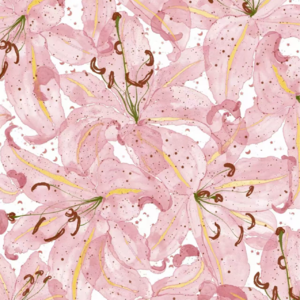 18|「中女」倒计时开始,还能用多少眼泪兑换下一场快乐?