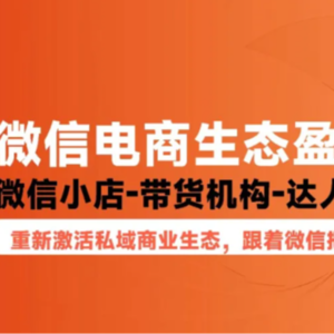 豆包AI播客|微信电商盈利模式的全域增长