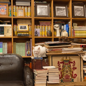 011上海明室书房谢旺：开放私人空间是我的“修行”