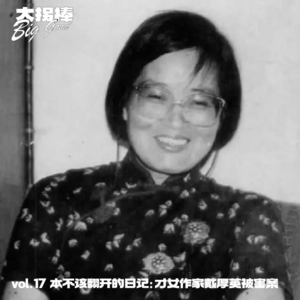 vol.17 那本不该翻开的日记：才女作家戴厚英被害案