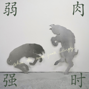 Vol.01 《幽灵公主》：从阿席达卡的阴阳平衡，到没有孩子的达达拉城