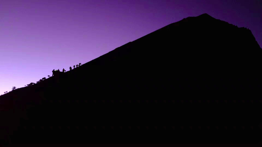 E16 你会在野外埋自己的粑粑吗？| ×Dani