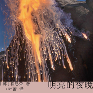 011 [韩]崔恩荣《明亮的夜晚》：一条结冰的大河