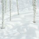 一上班就困啊啊啊啊