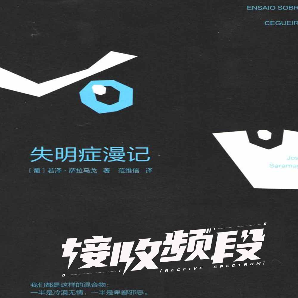 我们都是盲人，是看的见而不去看的盲人｜《失明症漫记》
